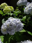 20190606_213044.jpg