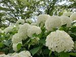 20200623_145314.jpg