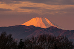 DSC05997.jpg