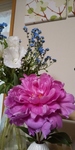 DSC_1444 (400x800).jpg