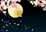 夜桜.png