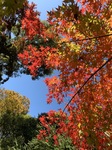IMG-6063.jpg