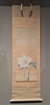 IMG00251.jpg