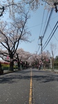 IMG00279.jpg