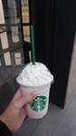 IMG03516.jpg