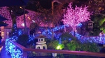 IMG03541.jpg