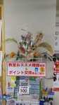 IMG03726.jpg