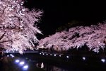 IMG_20180330_215841.jpg