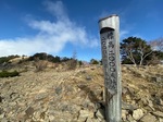 IMG_2211.jpg